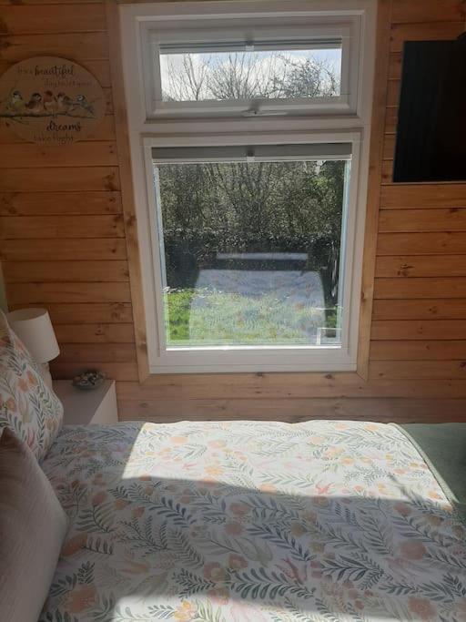 Anglesey New Modern Shepherds Hut With Spa Hot Tub Gwalchmai Εξωτερικό φωτογραφία